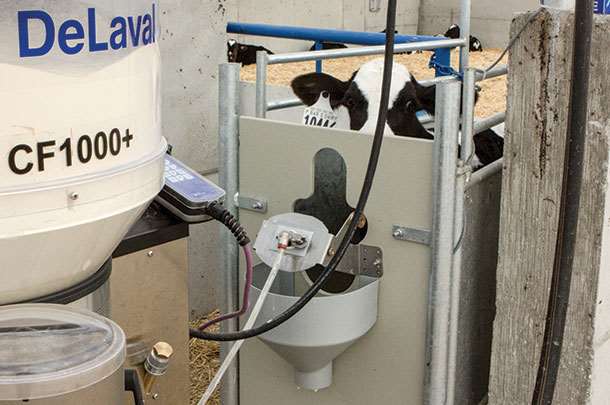 Calf Feeder