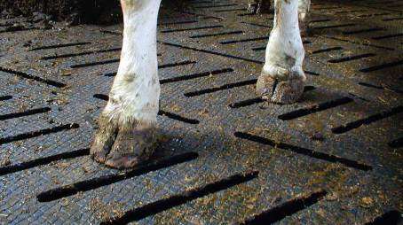 Kraiburg Rubber Mats